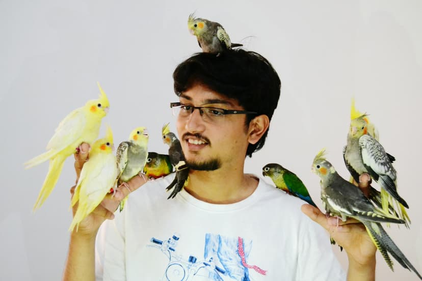 Man with tamed birds